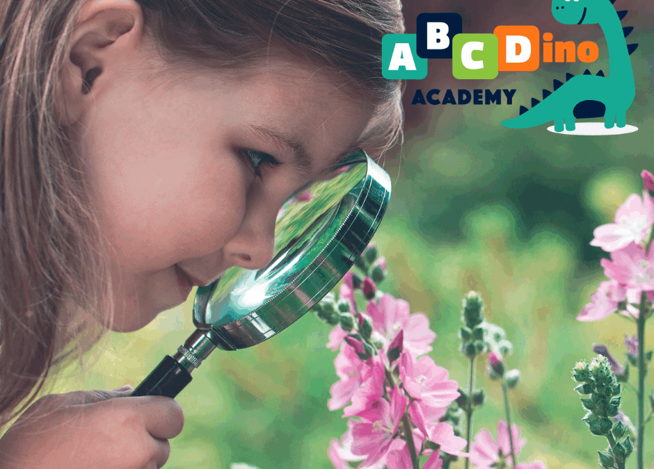 Screen-Free Learning: How ABCDino Is Raising Focused, Creative Thinkers